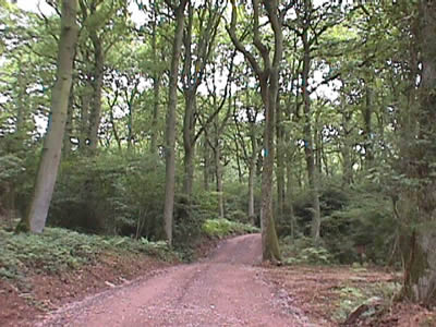 Photo of case study